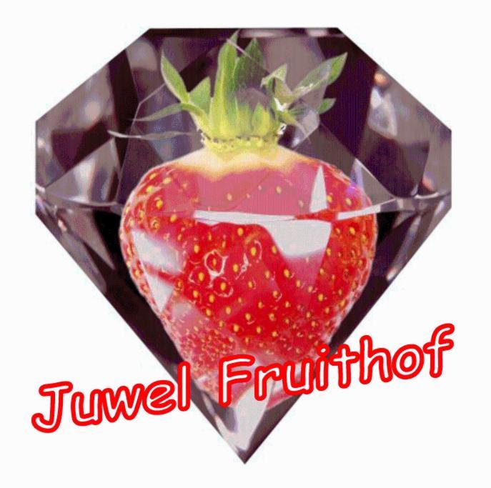 Апартаменты Juwel Fruithof Zepperen Номер фото
